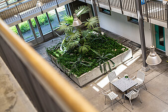 wohnenbern wohnung bern