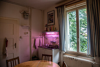 wohnenbern wohnung bern